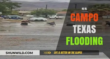 El Campo, Texas Flooding: Causes, Impacts, and Community Response