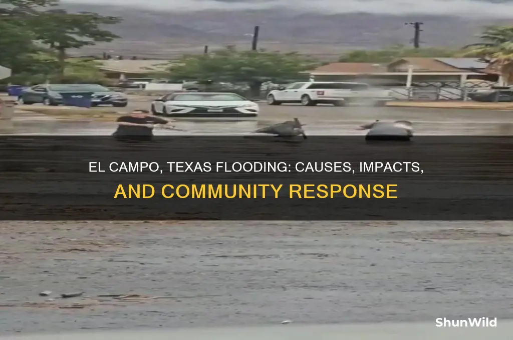 is el campo texas flooding