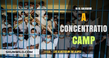 El Salvador's Detention Policies: Concentration Camp Comparisons Explored