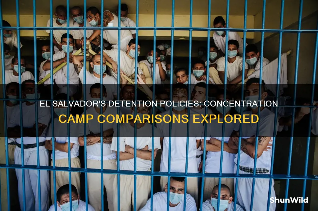 is el salvador a concentration camp