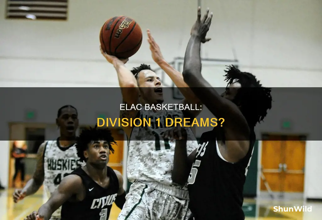 is elac basketball division 1