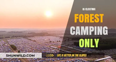 Electric Forest Camping: Is It the Only Option for Festival-Goers?