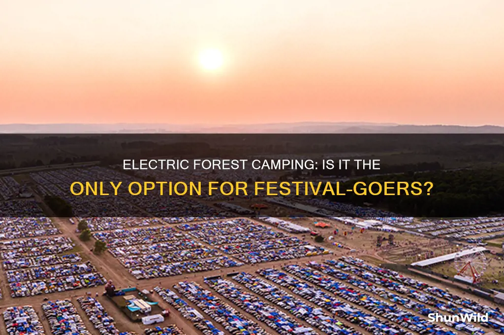 is electric forest camping only