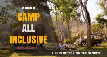 Exploring Elephant Camps: Are They Truly All-Inclusive Experiences?
