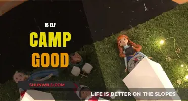 Is Elf Camp Worth It? A Comprehensive Review and Guide