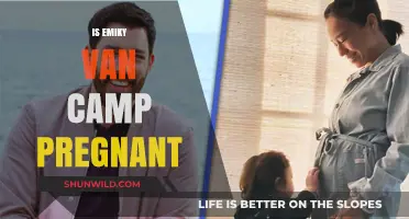 Emily VanCamp Pregnancy Rumors: Separating Fact from Fiction
