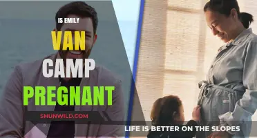 Emily VanCamp Pregnancy Rumors: Separating Fact from Fiction
