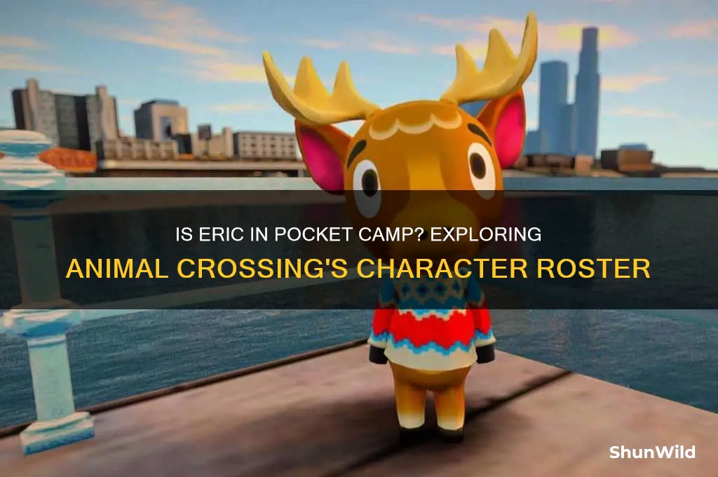 is eric in pocket camp