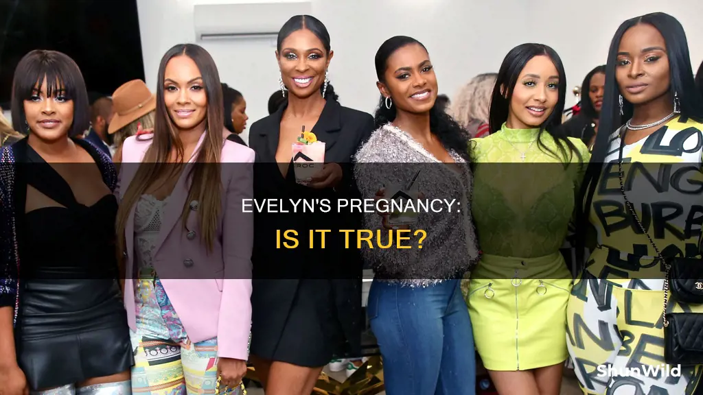 is evelyn pregnant from basketball wives