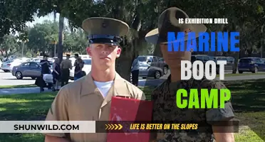 Exhibition Drill in Marine Boot Camp: Purpose, Training, and Impact