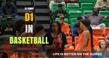 Famu's Basketball Team: D1 Status and Performance
