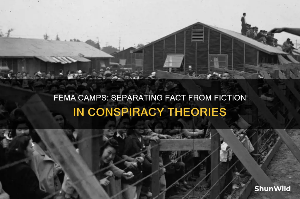 is fema building concentration camps