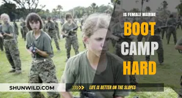 Is Female Marine Boot Camp Hard? Unveiling the Challenges and Strengths