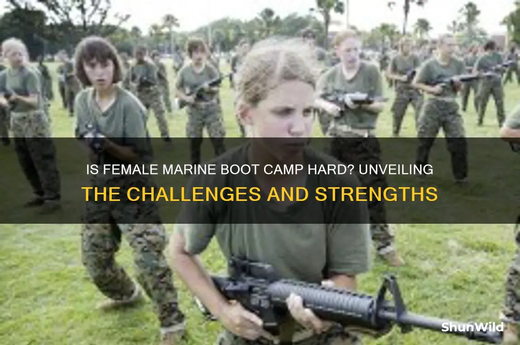 is female marine boot camp hard