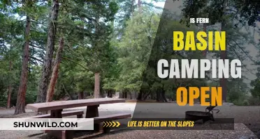 Is Fern Basin Camping Open? Current Status and Updates for Campers