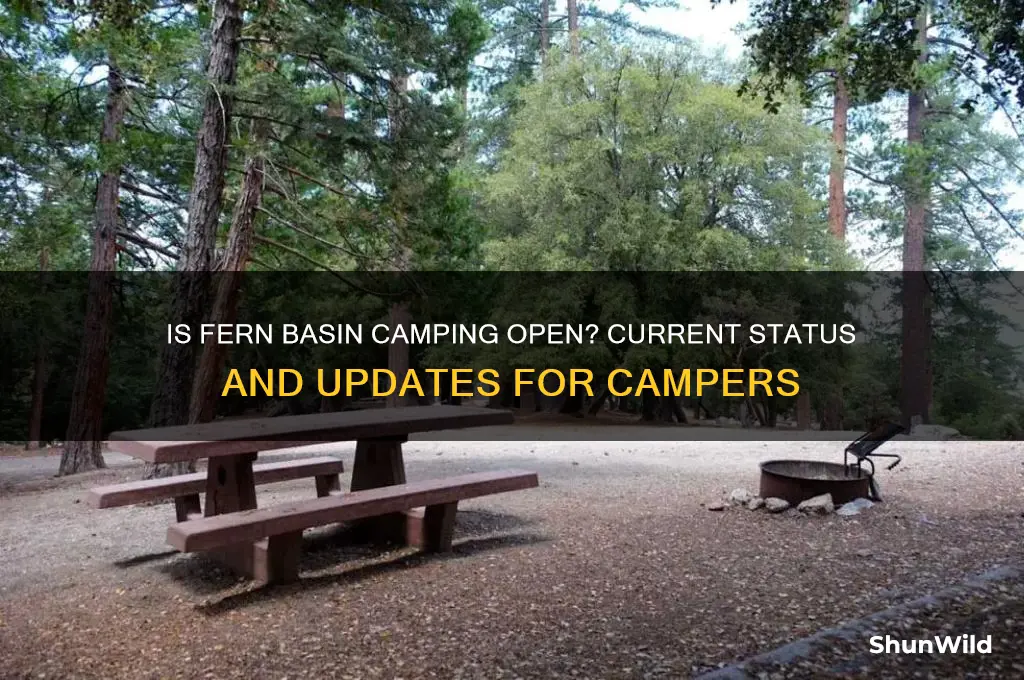 is fern basin camping open