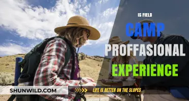 Field Camp: A Gateway to Professional Experience and Career Growth