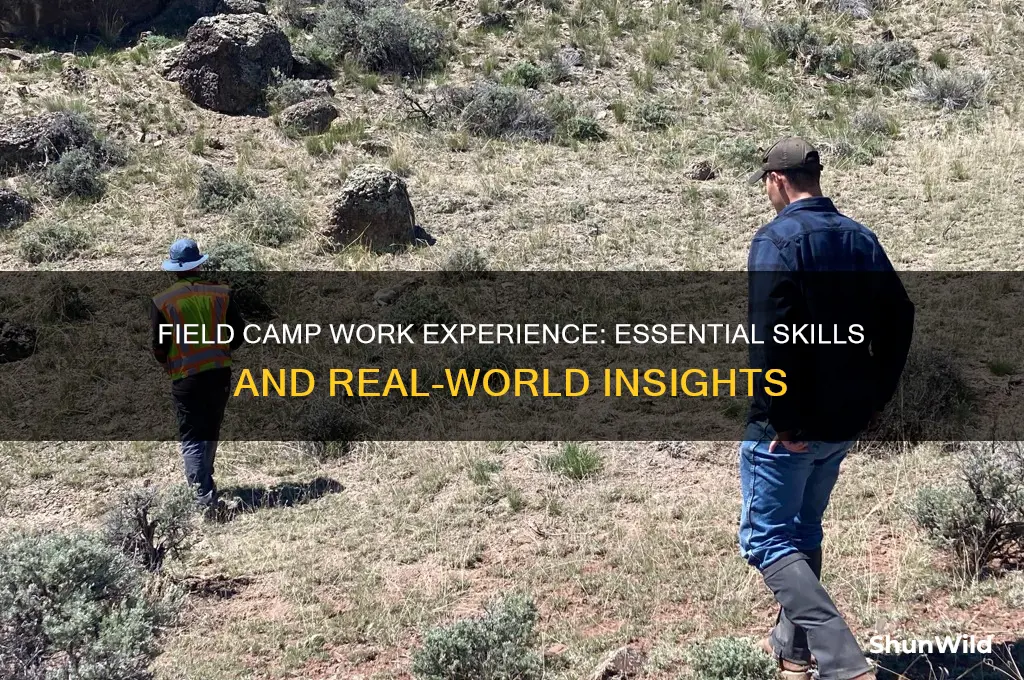 is field camp work experience