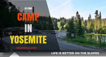 Exploring Yosemite's Fish Camp: A Hidden Gem Near the Park