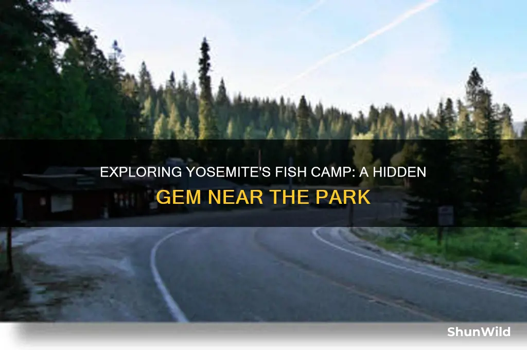 is fish camp in yosemite