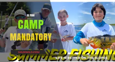Is Fish Camp Mandatory? Exploring the Requirement for Freshmen