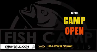 Is Fish Camp Open? Check Current Status and Plan Your Visit