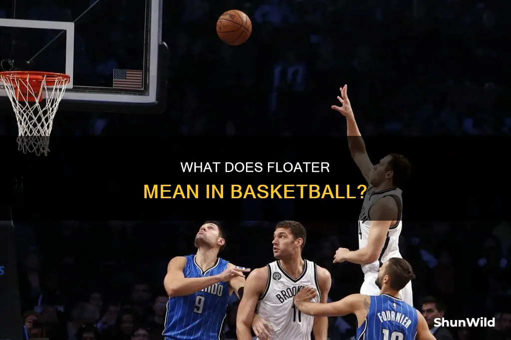 is floater a basketball term