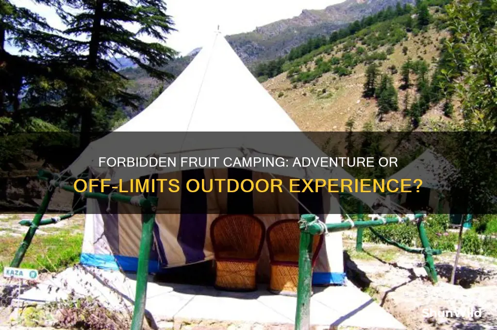 is forbidden fruit camping