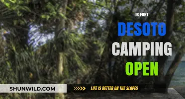 Is Fort DeSoto Camping Open? Current Status and Updates