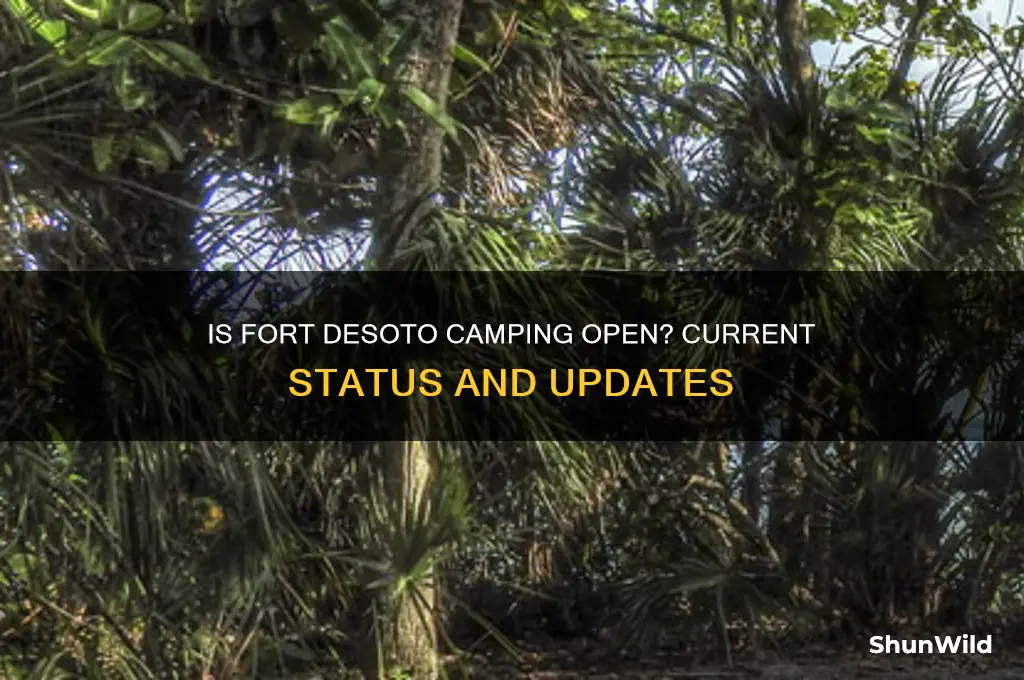 is fort desoto camping open