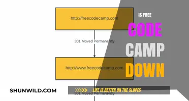 Is Free Code Camp Down? Current Status and Alternatives Explained