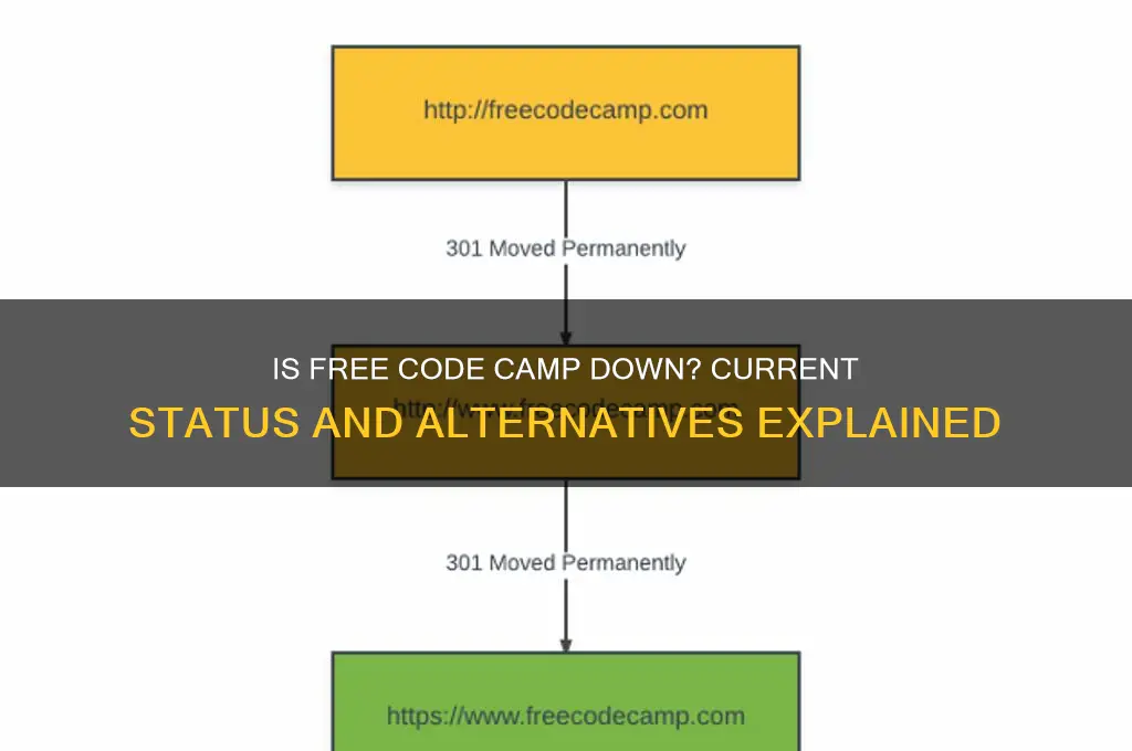 is free code camp down