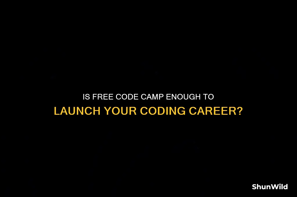 is free code camp enough