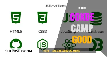 Is FreeCodeCamp Worth It? A Comprehensive Review and Analysis