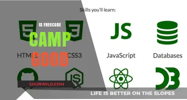 Is FreeCodeCamp Worth It? A Comprehensive Review and Analysis
