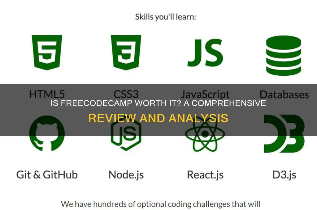is freecode camp good