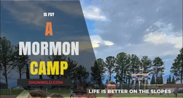Is FSY a Mormon Camp? Exploring the LDS Youth Program