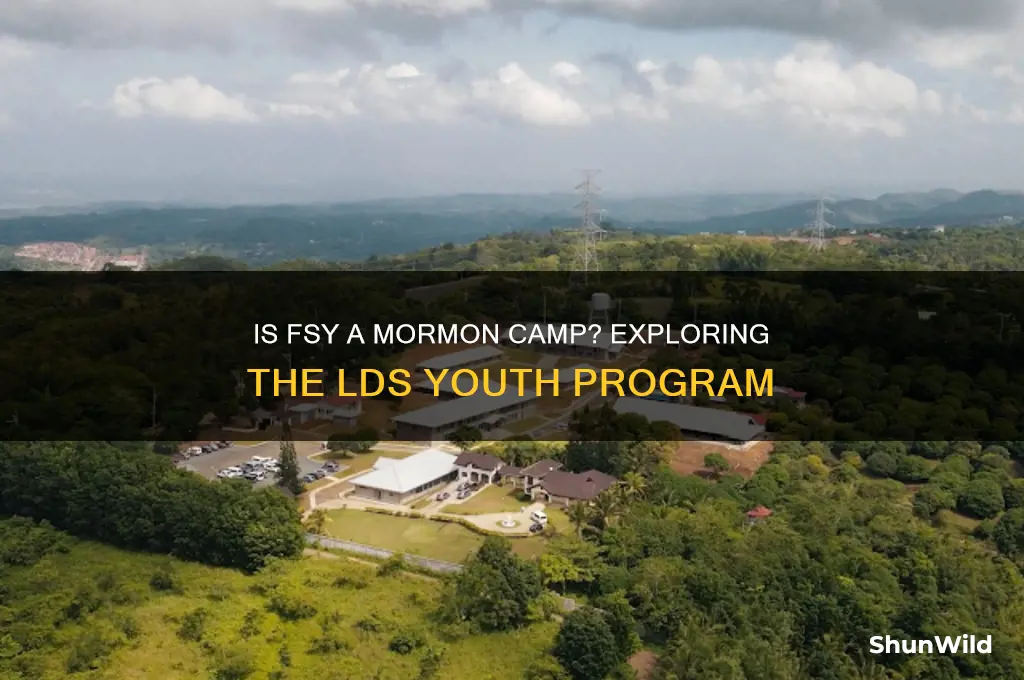 is fsy a mormon camp