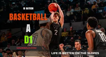 Georgia Tech Basketball: Division 1 Status and History