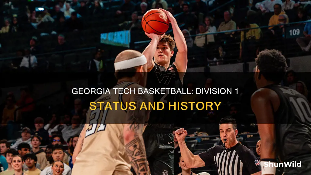 is gatech basketball a d1