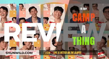 Exploring the Reality of Gay Camp: Fact or Fiction?
