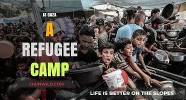 Is Gaza a Refugee Camp? Unraveling the Complex Reality