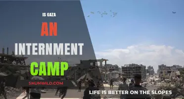 Gaza: Internment Camp or Besieged Territory? Unraveling the Truth