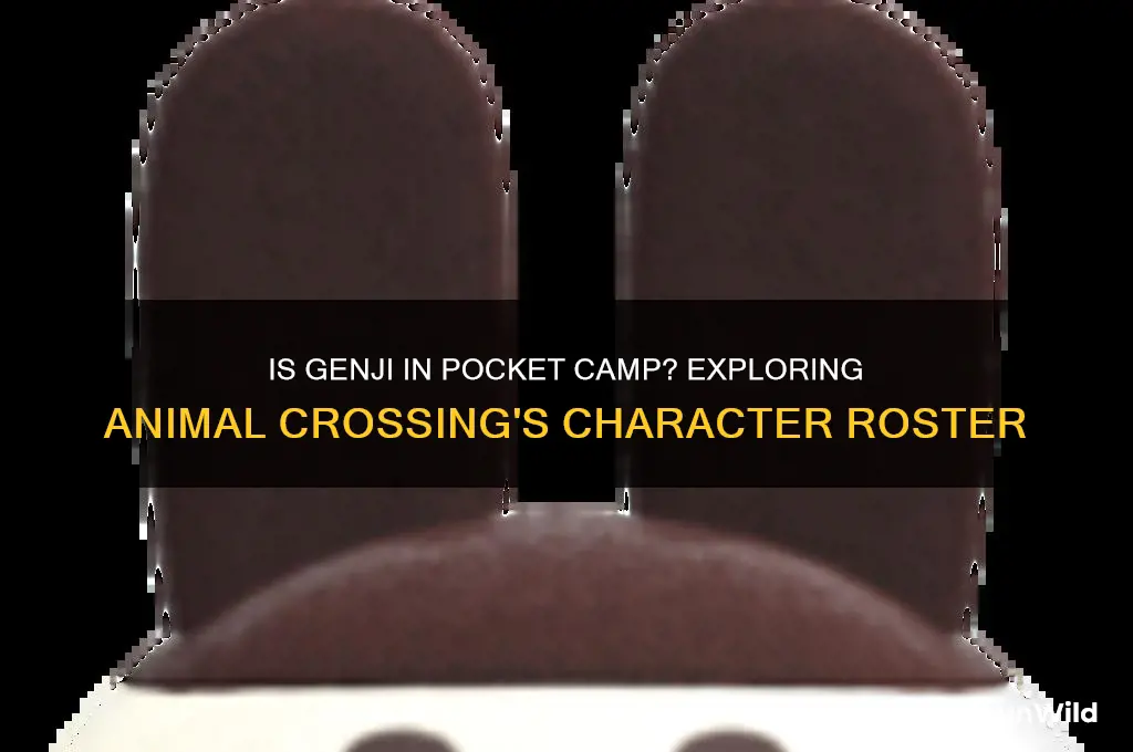 is genji in pocket camp