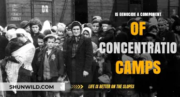 Genocide in Concentration Camps: Historical Analysis and Ethical Implications
