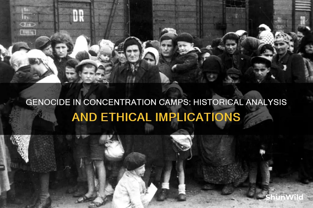 is genocide a component of concentration camps