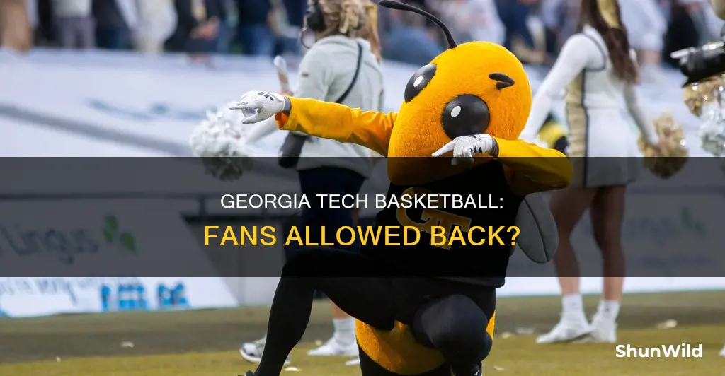 is georgia tech basketball allowing fans