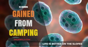 Camping and Giardia: Understanding the Risks of Outdoor Water Sources