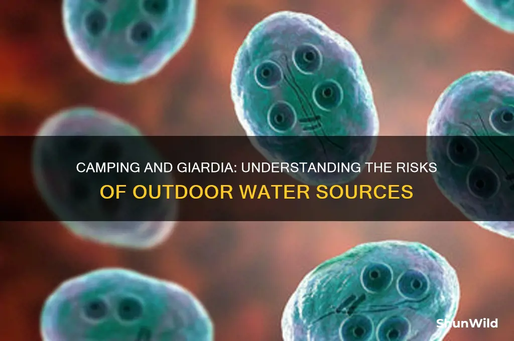 is giardia gained from camping