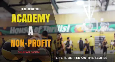 Basketball Academy Non-Profit Status: GIL's Mission
